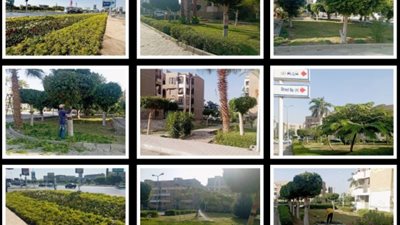 استمرار أعمال تطوير وتجميل المسطحات الخضراء بمحور العبور