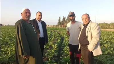 لبحث الاستعداد للموسم الشتوى وكيل زراعة البحيرة يتفقد بنجر السكر