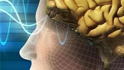 اكتشاف جزيء في الدماغ يعمل كـ