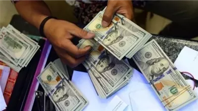 بقيمة 25 مليون جنيه.. ضبط قضايا اتجار بالعملة