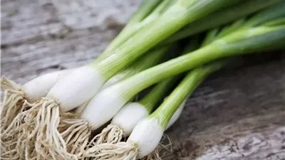 البصل الأخضر كنز صحي على مائدتك اليومية.. اعرف فوائده