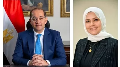 وزير المالية: تيسيرات جديدة للمكلفين بأداء ضريبة القيمة المضافة