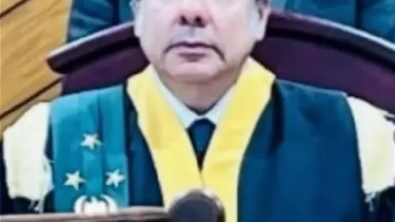 المستشار سامح عبد
