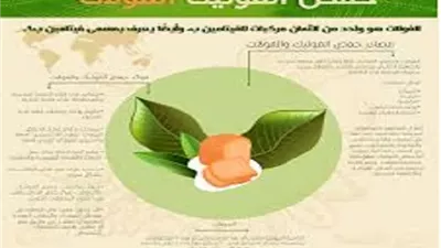 الكمية اليومية والمصادر الغذائية لحمض الفوليك