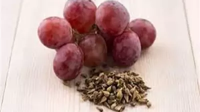 فوائد خارقة لزيت مغمور