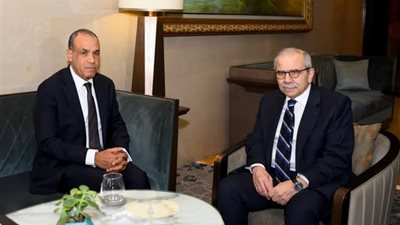 وزير الخارجية يؤكد موقف مصر الثابت في دعم سيادة لبنان ووحدته الوطنية