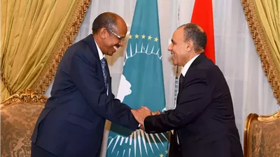 وزير الخارجية يؤكد دعم مصر الكامل لجهود الاتحاد الإفريقي