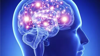 هل يمكن للساعة البيولوجية أن تحمي الدماغ من الزهايمر؟