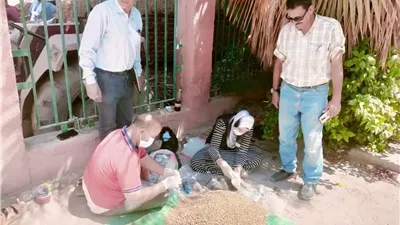 زراعة البحيرة تنتهى من حملتها على القوارض