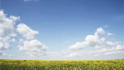 دعاء قدوة السائرين بخوف وترقب..لن تضل الطريق