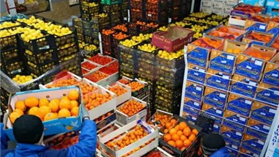 صادرات الصناعات الغذائية ترتفع 9.4% إلي 5.1 مليار دولار خلال 9 أشهر
