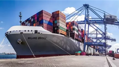 ٢٩ سفينة و ٥٣٥٠ شاحنة علي أرصفة ميناء دمياط