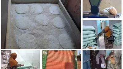 تحرير 55 مخالفة تموينية في حملات مكثفة بالقليوبية لضبط الأسواق
