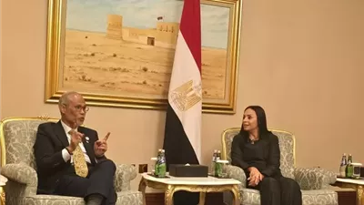 مايا مرسي ووزير الأسرة والتنمية بسنغافورة يبحثان التعاون المشترك