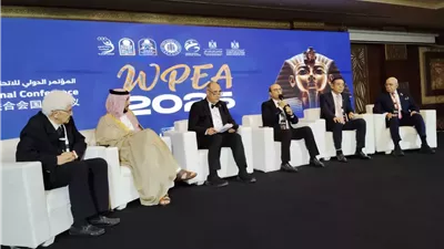 الدكتور المنشاوي يشهد جلسة حوارية عن المؤسسات الأكاديمية والمهنية