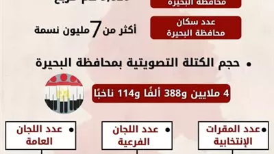 إستعدادات مكثفة ومتابعة لمقار اللجان الإنتخابية بالبحيرة