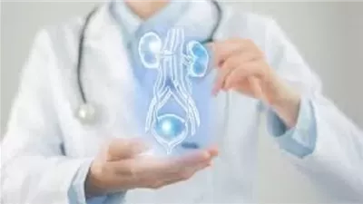 دراسة تكشف عوامل مفاجئة وراء التهابات المسالك البولية