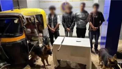 ملابسات مشاجرة بين سائق توك توك و3 طلاب وبحوزتهم سلاح أبيض وكلبان