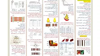 مراجعة أحياء لطلاب الصف الثالث الثانوي 2026