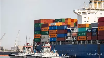 تصدير ٥٥ ألف طن يوريا وجبس وأسمنت من ميناء دمياط