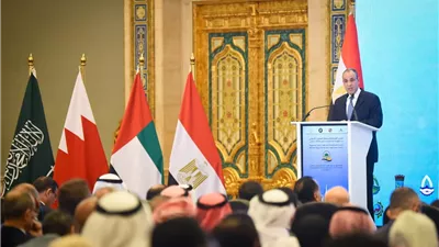 وزير الخارجية: العلاقات المصرية - الخليجية لها جذور تاريخية راسخة