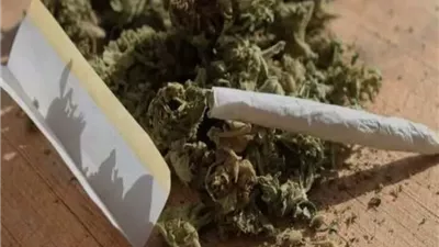 اهمية الاعتراف في قضايا المخدرات