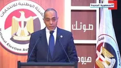 بنداري: لم نتلق أي بلاغات بوجود خروقات للدعاية الانتخابية