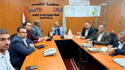 غلق لجان التصويت بالأقصر في اليوم الأول لانتخابات النواب 2025