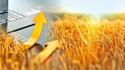 الحبوب الأمريكية تقفز بدعم الطلب الصيني وآمال إنهاء الإغلاق الحكومي