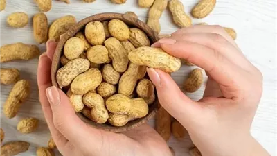 الفول السوداني غير المملح يحسن وظائف الدماغ لدى كبار السن
