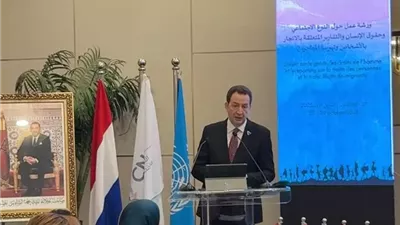 القومي للمرأة يشارك في ورشة عمل لمكتب الأمم المتحدة بالمغرب