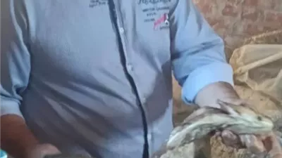 ضبط 12 طن فسيخ غير صالح للاستهلاك الآدمي بفوه كفرالشيخ