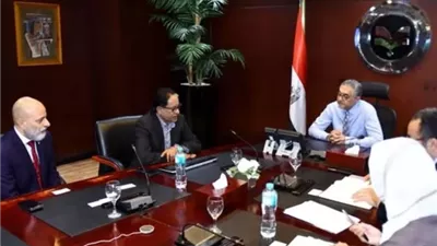مشروع سنغافوري لإنتاج 100 ألف طن أمونيا خضراء سنوياً في مصر