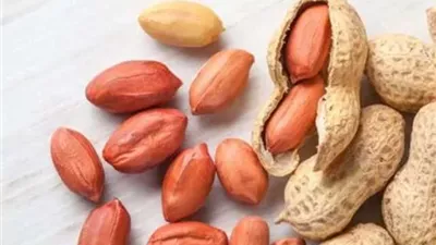 دراسة تكشف: تناول السوداني لا يؤدي لزيادة الوزن بشرط واحد