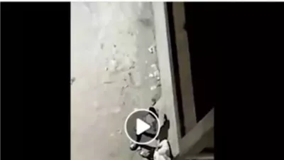 ضبط 3 أشخاص روجوا لمواد مخدرة عبر مقطع فيديو بالقليوبية
