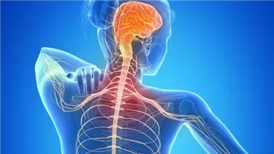 إشارات مبكرة في الدماغ قبل ظهور أعراض التصلب المتعدد