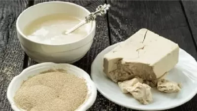 فوائد الخميرة للصحة