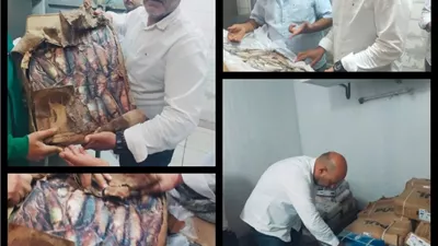 محافظ القليوبية: ضبط 2 طن لحوم ودواجن وأسماك غير صالحة للإستهلاك