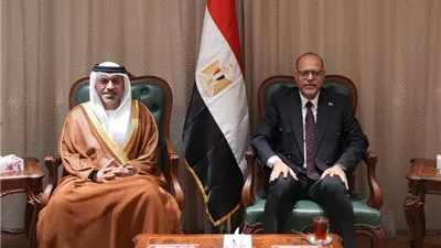 مصر والإمارات تؤكدان استمرار التنسيق في مجالات العمل والتدريب وتنقل الأيدي العاملة