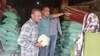حملة كبرى بالإسماعيلية تضبط مخالفات السلع والخبز