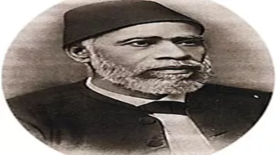 أبو التعليم وراسم ملامح القاهرة الحديثة.. علي مبارك في ذكراه