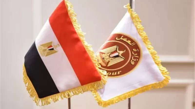وزارة العمل توفر