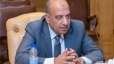 عصمت:مصر مركز إقليمي للطاقة يربط أسواق أفريقيا وأوروبا وآسيا