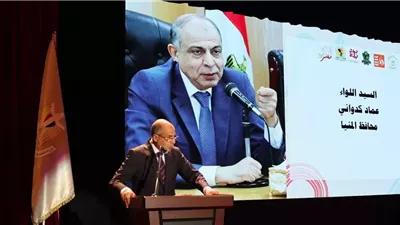 اختيار المنيا عاصمة الثقافة والفنون 2025: “الليلة الكبيرة” تتألق