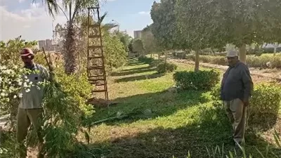 توسعات في المسطحات الخضراء بالحي الصناعي الأول بالسويس الجديدة