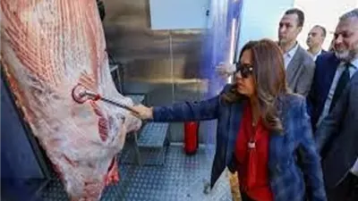 متحدث التنمية المحلية يكشف تفاصيل افتتاح مجزر آلي متنقل صناعة محل