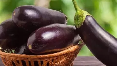 فوائد تناول الباذنجان بانتظام