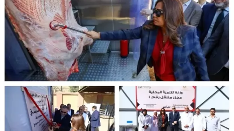 وزيرة التنمية المحلية