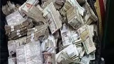 عنصر جنائى غسل 230 مليون جنيه من تجارة العملة غير المشروعة