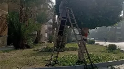 جهاز مدينة العبور يواصل رفع كفاءة المسطحات الخضراء وتحسين الخدمات